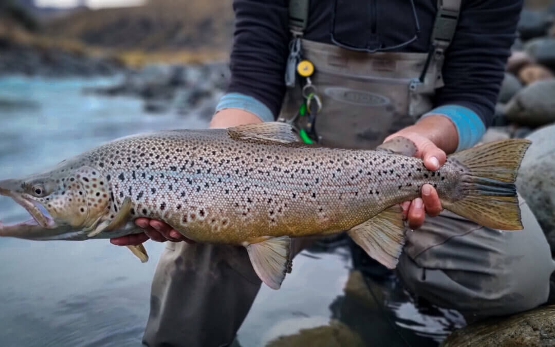 Mañihuales River: A Paradise for Anglers in Patagonia